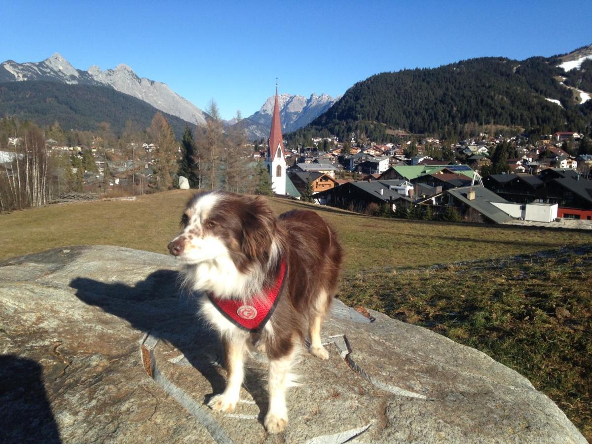 Fewo Lebensfreude Mittenwald Exteriér fotografie