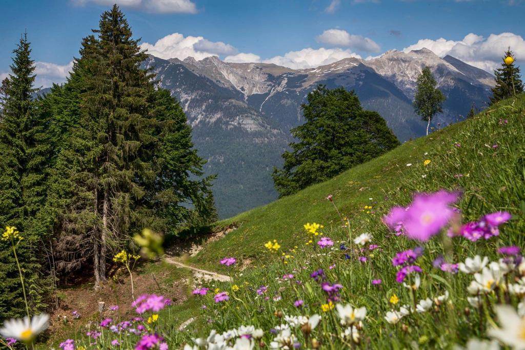 Fewo Lebensfreude Mittenwald Pokoj fotografie