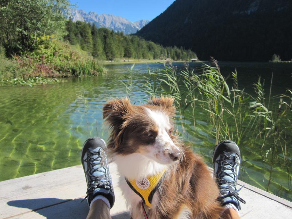 Fewo Lebensfreude Mittenwald Pokoj fotografie