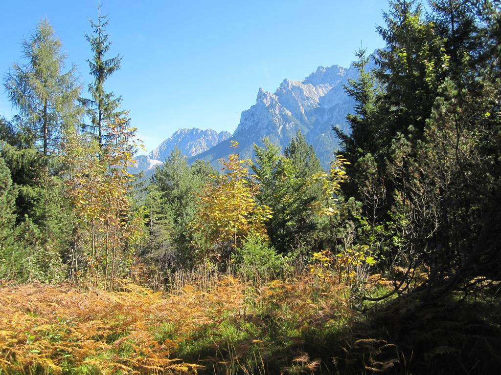 Fewo Lebensfreude Mittenwald Pokoj fotografie
